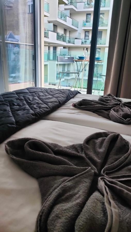 Super Cozy & Central Apartment Budapest Exteriör bild