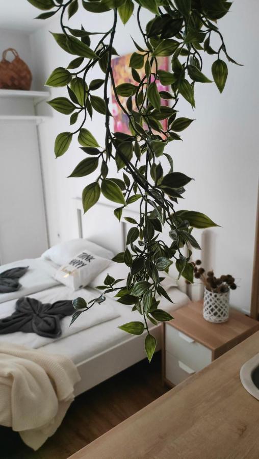 Super Cozy & Central Apartment Budapest Exteriör bild